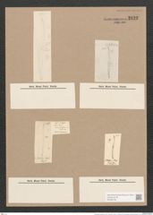 Pleurosigma tenuissimum W.Sm. (de-Toni-Nr.: Genus 13, Species 1091) Zeichnungen Sammlung Grunow Nr. 2122 (NHMW-BOT-W0369156)